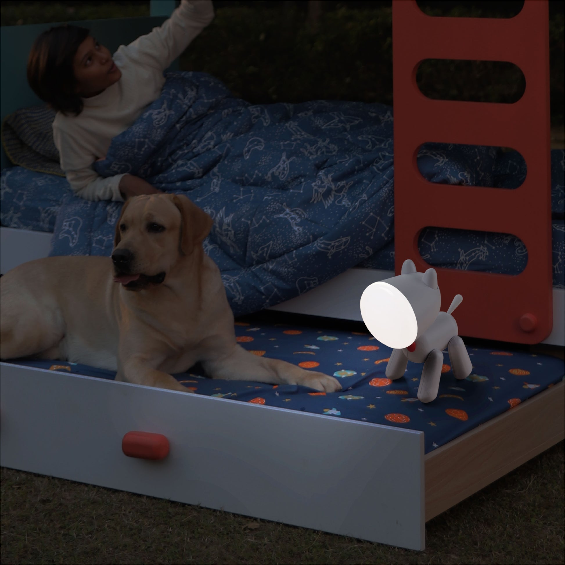 media_gallary Rechargeable Study Table Lamp for kids - woof woof 4